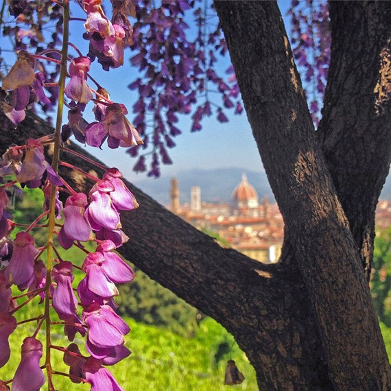 Spring invades with its colors and perfumes the garden of Villa Bardini - photo credit @visit_florence